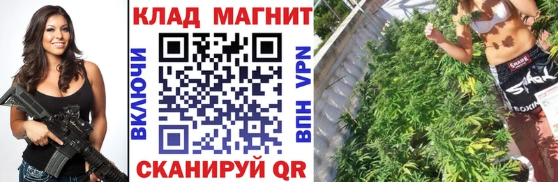 Купить закладку Галлюциногенные грибы Альфа ПВП АМФЕТАМИН ГАШИШ Канабис МЕФ Cocaine Теберда