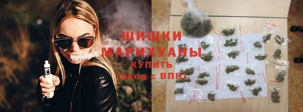 стаф Аркадак