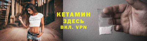 стаф Аркадак