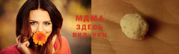 стаф Аркадак