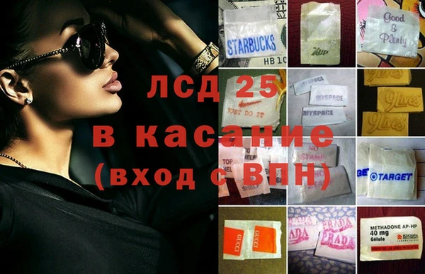 стаф Аркадак