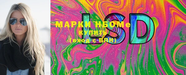 стаф Аркадак