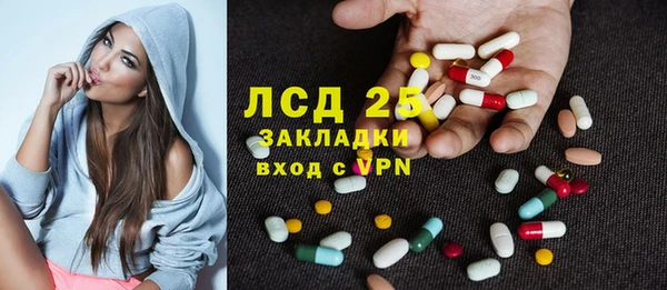 стаф Аркадак