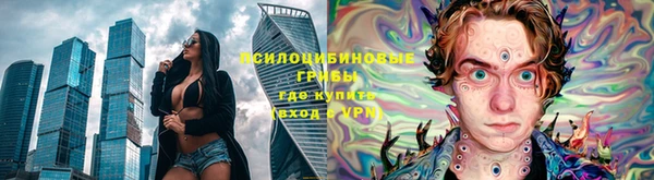 стаф Аркадак